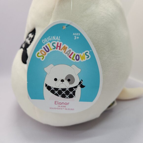 Squishmallow Elanor the Pirate Bulldog! 8”  NWT - Picture 6 of 12